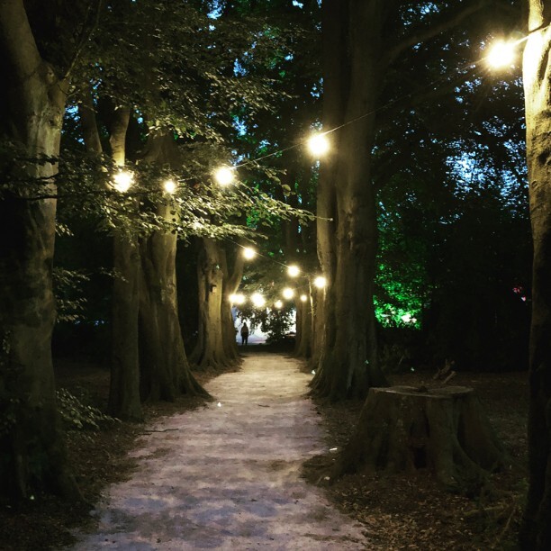 festoon lighting festoon lighting