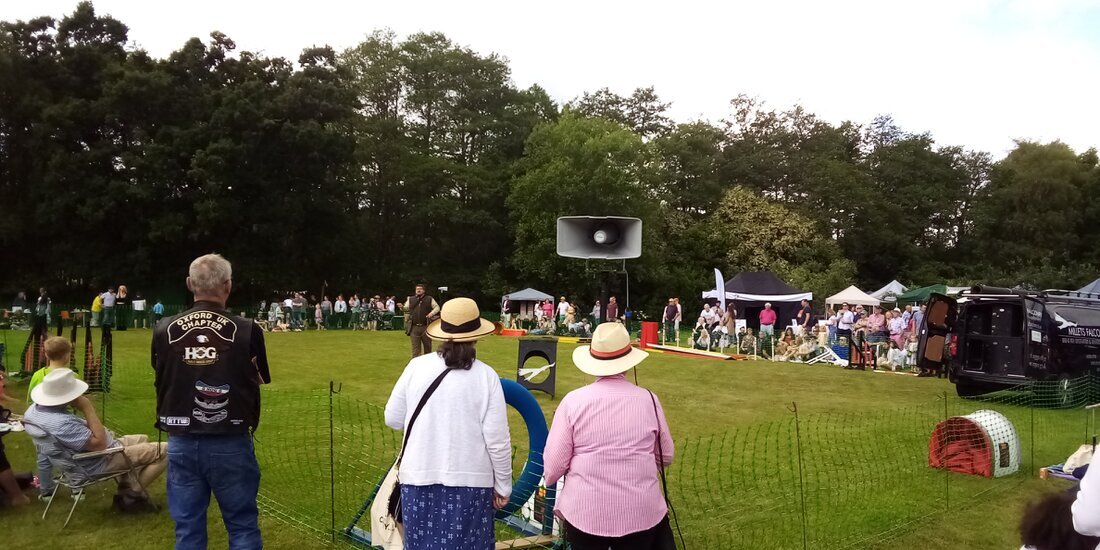 Outdoor village fete with speakers covering arena